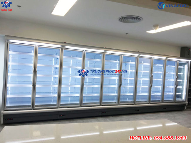 tủ đông đứng cao cấp