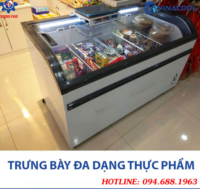 Tủ trưng bày hải sản WD4-538