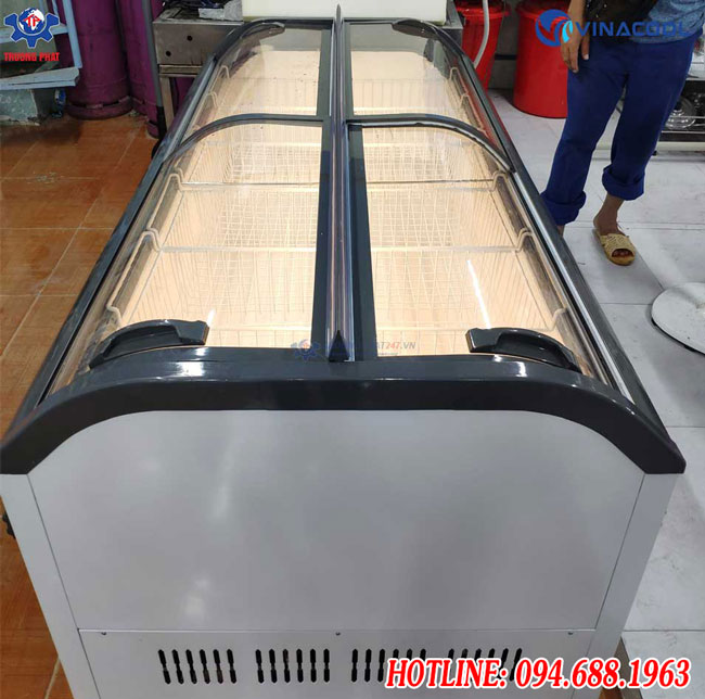 tủ đông wd4-1008 Vinacool