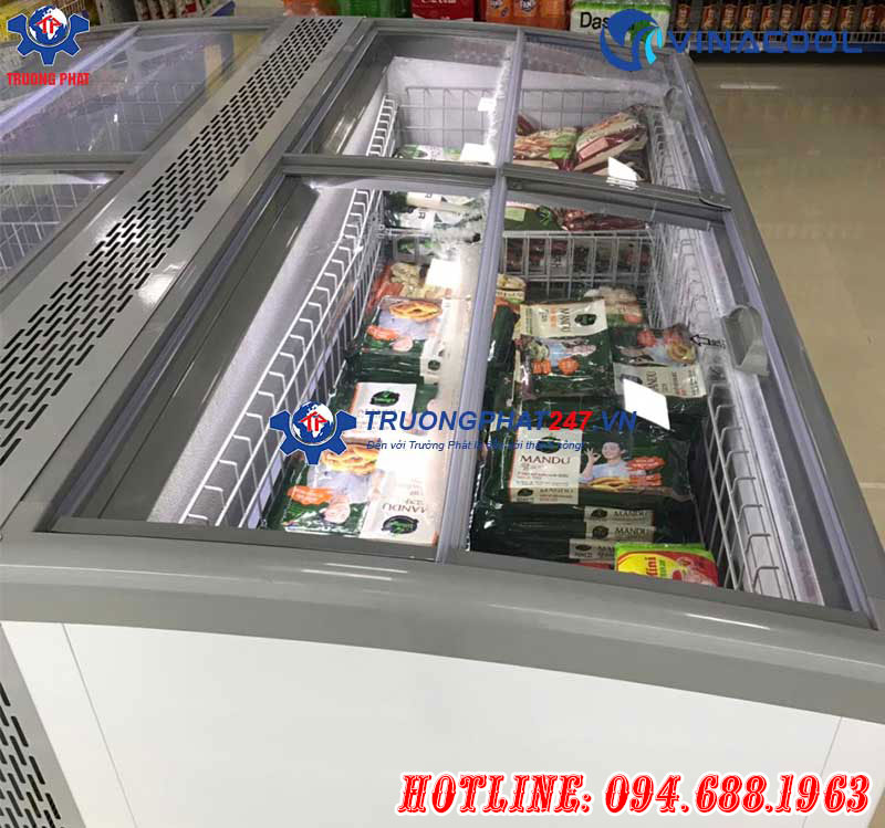 tủ đông nằm swd-2100