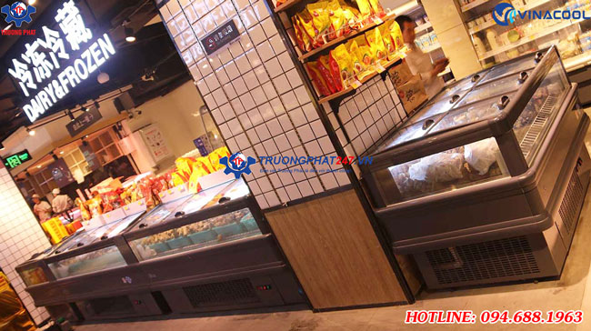 Tủ đông trưng bày WD-2000ZD