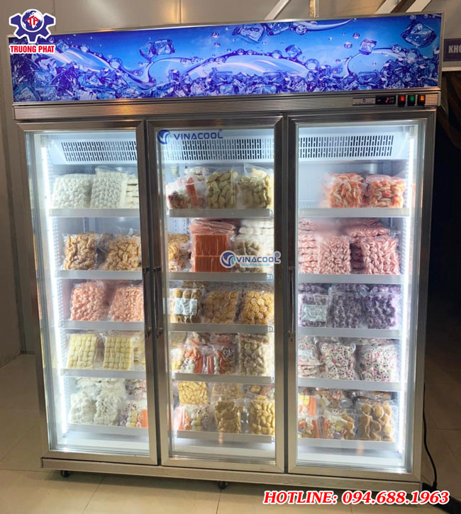 tủ đông 3 cánh vinacool