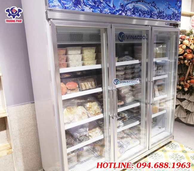 tủ đông siêu thị Vinacool