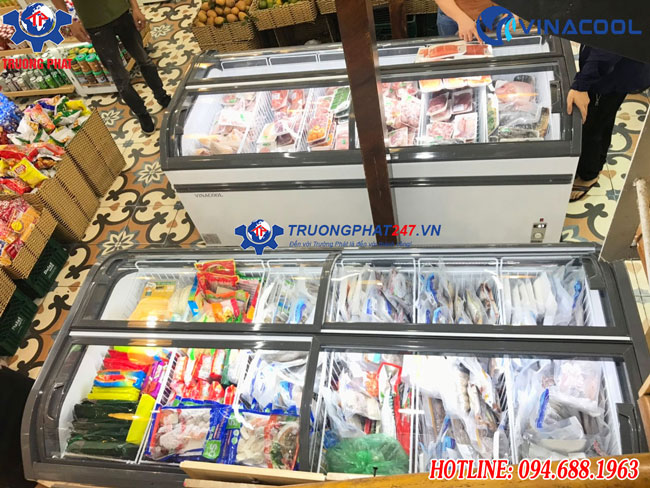 tủ đông 4 cánh Vinacool WD4-1008