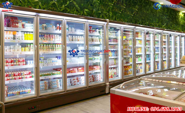 tủ đông cánh kính Vinacool