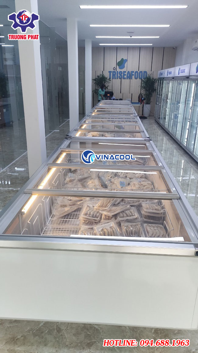 tủ đông nằm WD4-1260 Vinacool