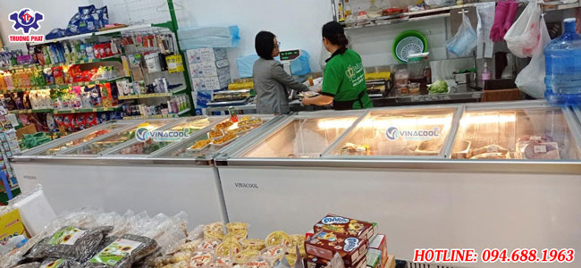 tủ đông kính phẳng WD4-960