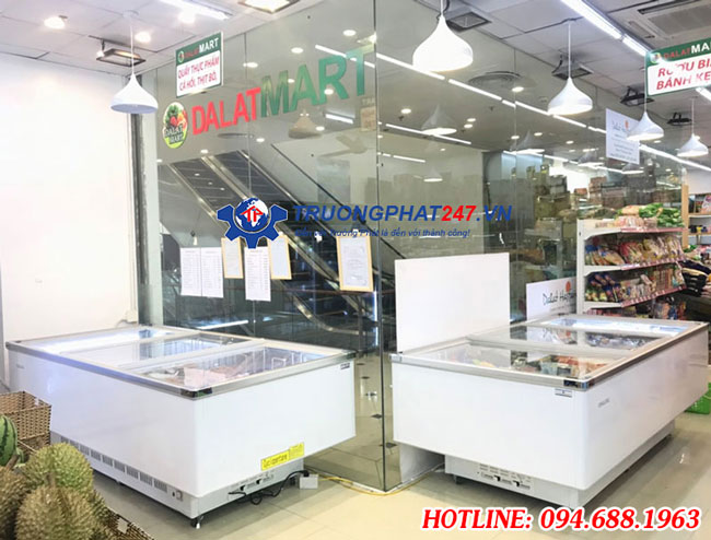 Tủ đông nằm siêu thị WD4-960