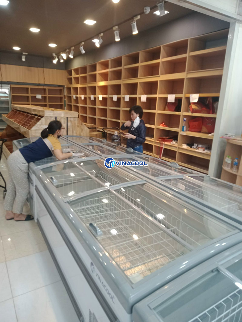 tủ đông HR-2500D