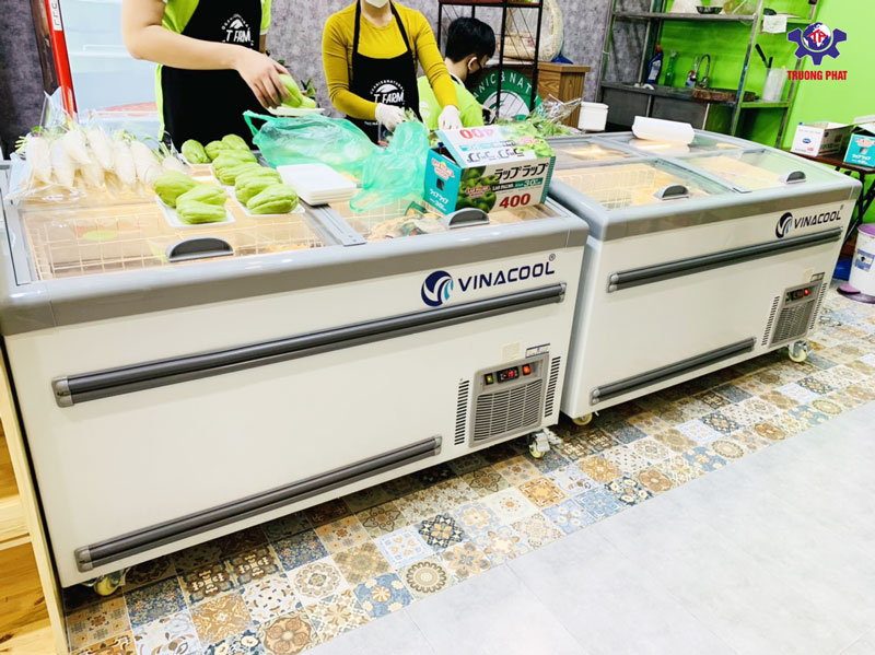 tủ đông nằm HR-1500 Vinacool