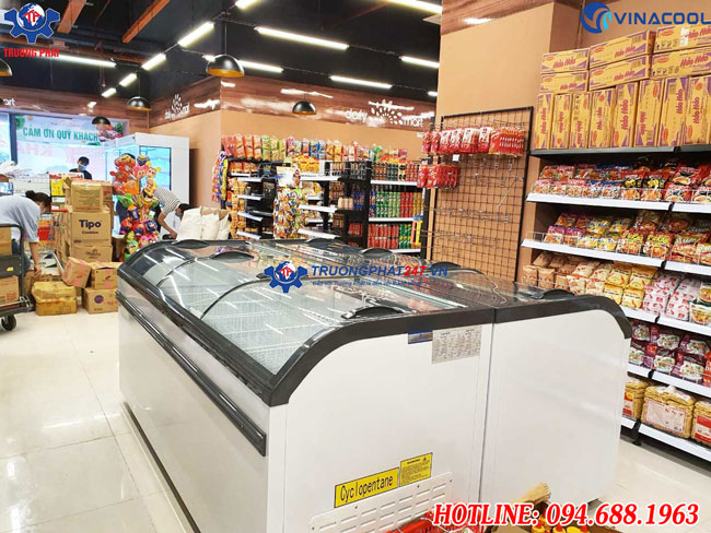 tủ đông nằm 2m WD4-738