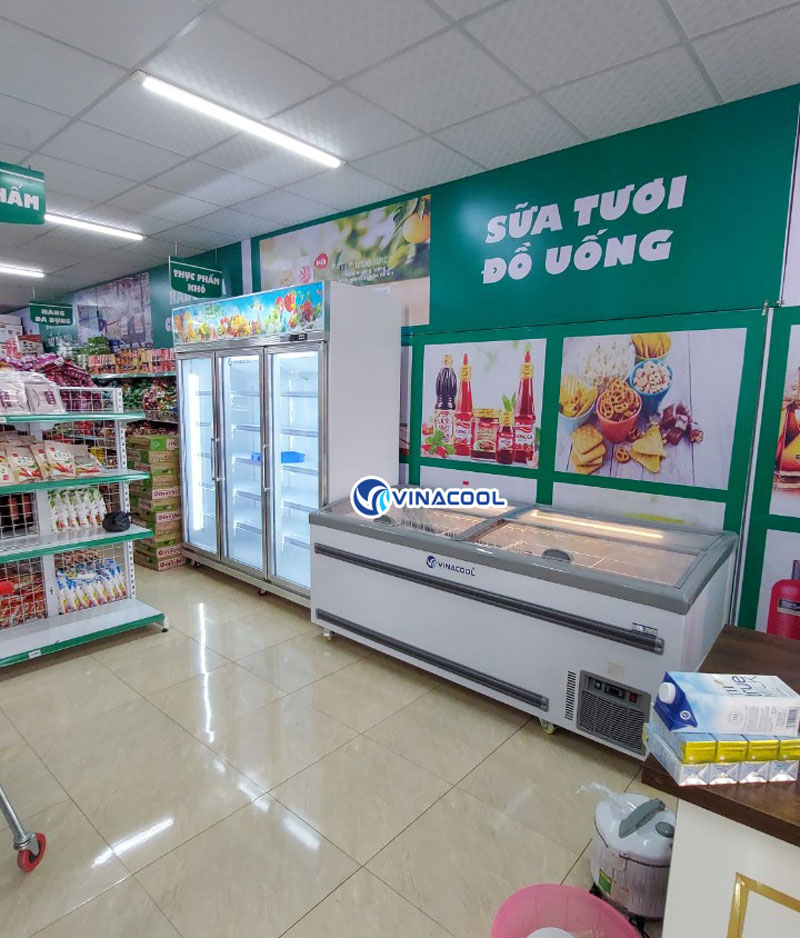 Tủ đông nằm HR-2500D