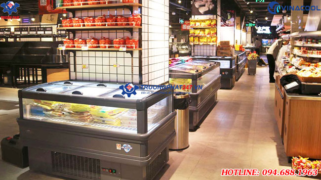 tủ đông siêu thị Vinacool WD-2000ZD