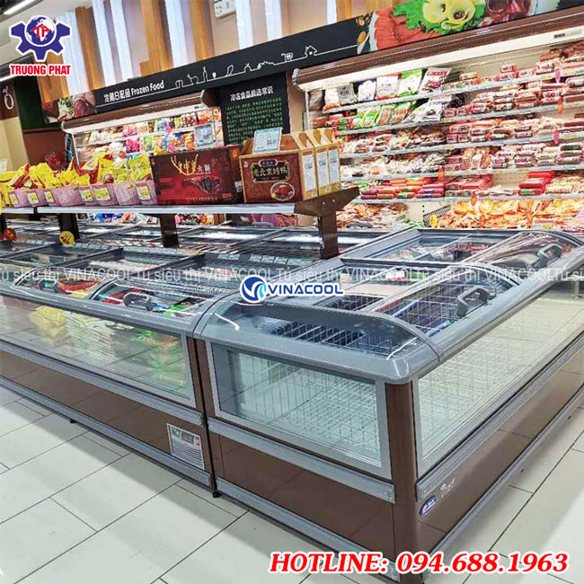 tủ đông cao cấp Vinacool