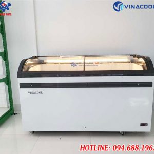 tủ đông trưng bày WD4-538