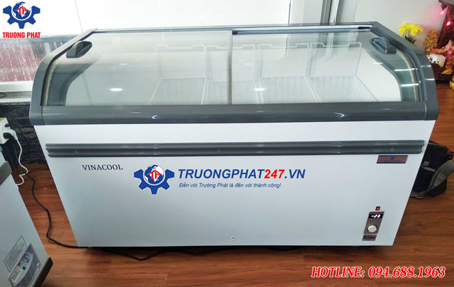 Tủ đông giá rẻ wd4-538