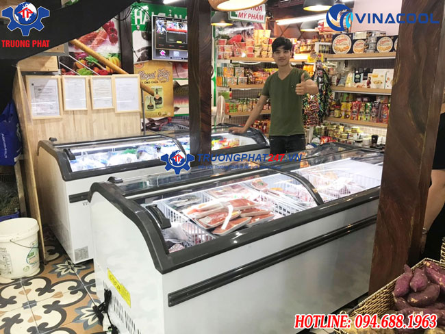 tủ đông WD4-1008 giá rẻ