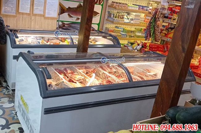 Tủ đông wd4-1008 vinacool