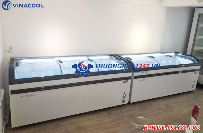 Tủ đông Vinacool WD4-738