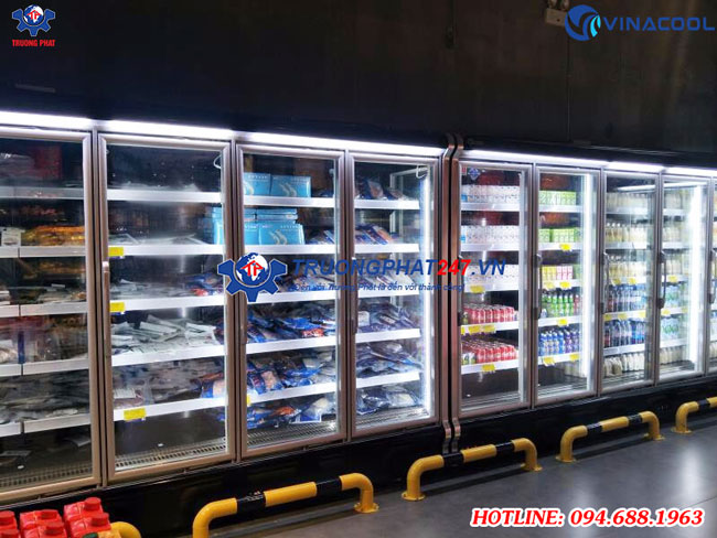 tủ đông đứng cao cấp