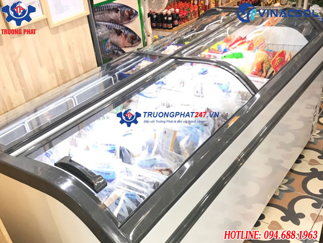 Tủ đông WD4-1008 4 mặt kính